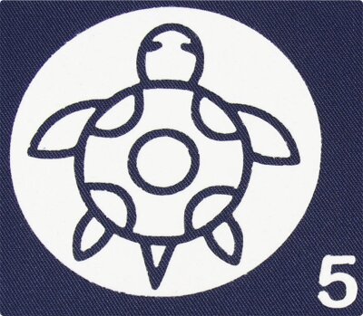 5. Schildkröte im Kreis